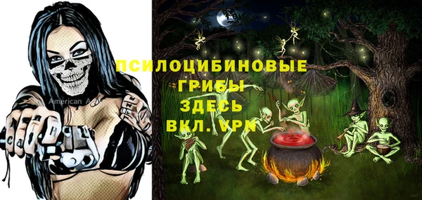 стафф Абинск